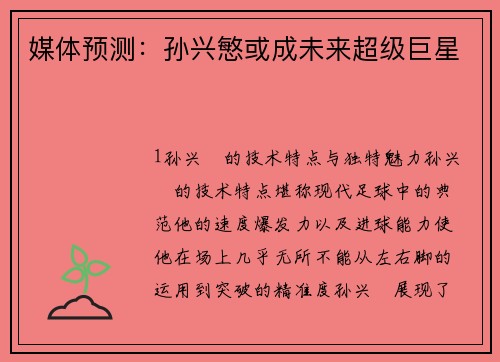 媒体预测：孙兴慜或成未来超级巨星